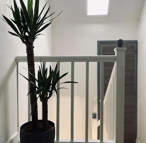 דירה Duplex La Cambu'z